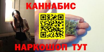 индика Кандалакша