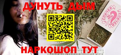 индика Кандалакша