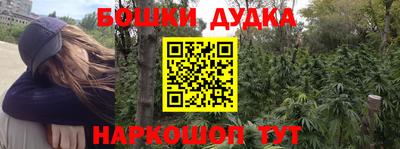индика Кандалакша