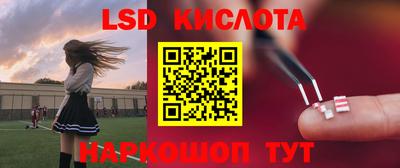 индика Кандалакша