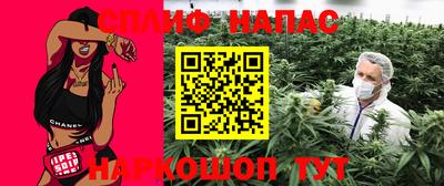 индика Кандалакша