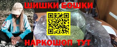 индика Кандалакша