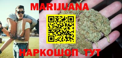 индика Кандалакша