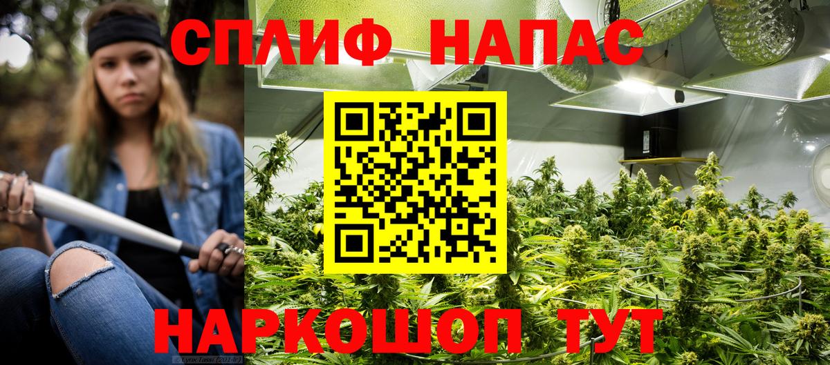 Каннабис MAZAR Краснокаменск